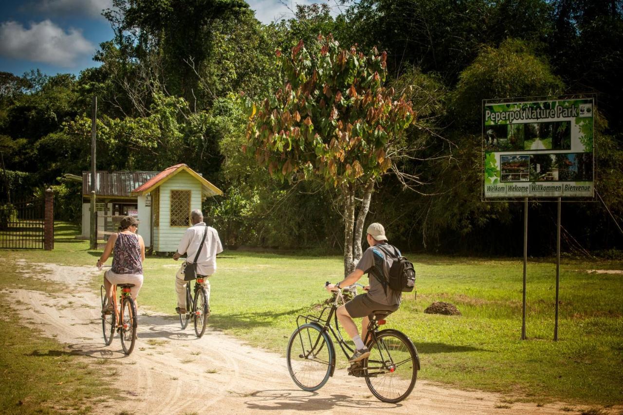 Boutique Hotel Peperpot Meerzorg Luaran gambar